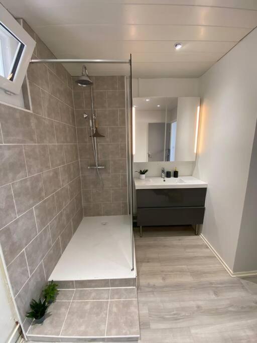 Appartement Calme Et Chaleureux Dole Eksteriør bilde